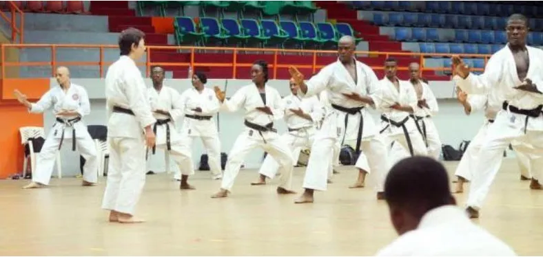 Nigerian karatekas training in rows under a visiting instructor