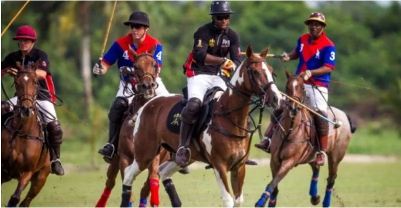 Two teams competing on the polo ground