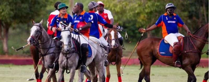 Polo players in team colours on the field