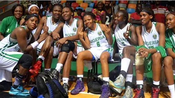 D&rsquo;Tigress players on the bench in Nigeria kit