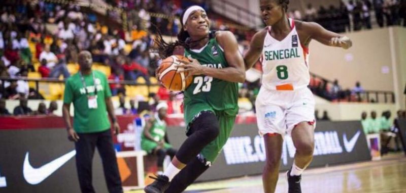 d'tigress player